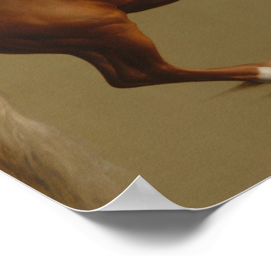 Poster George Stubbs - Whistlejacket (Coin)