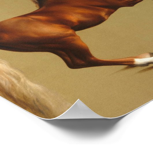Poster George Stubbs - Whistlejacket (Coin)