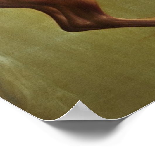 Poster George Stubbs | Whistlejacket, 1762 (Coin)