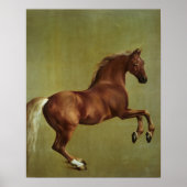 Poster George Stubbs | Whistlejacket, 1762 (Devant)