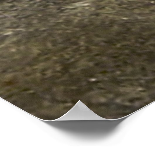 Poster George Washington à cheval à Trenton (Coin)