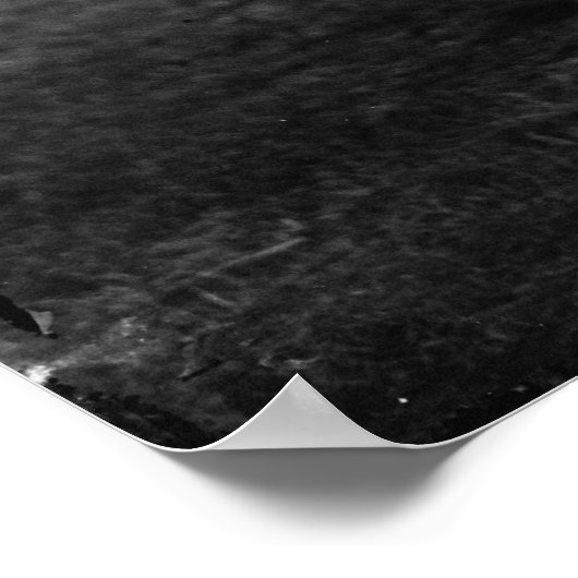 Poster Georges Flechere (Coin)