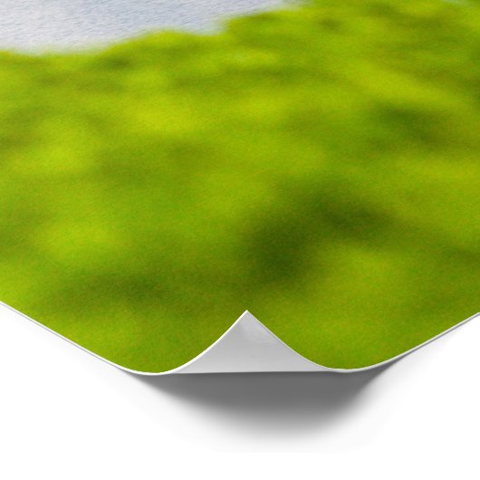 Poster Georgetown (Coin)