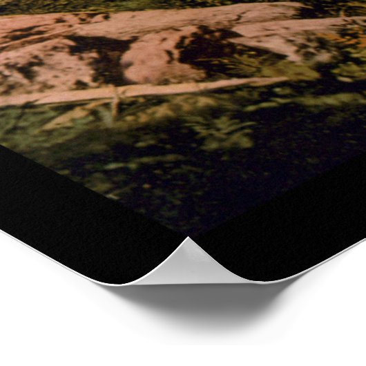 Poster Georgetown Loop Railroad avec un train 1899 (Coin)