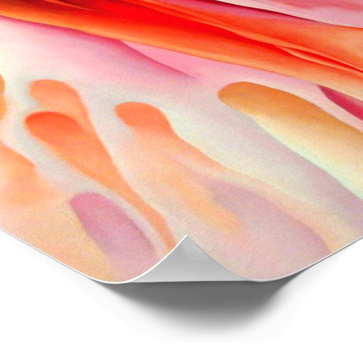 Poster georgia okeeffe (Coin)