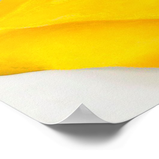 Poster georgia o'keeffe (Coin)