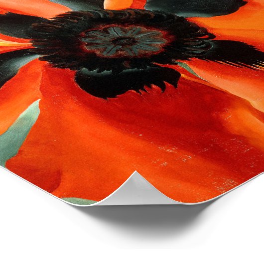 Poster georgia okeeffe (Coin)