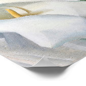 Poster georgia okeeffe (Coin)