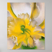 Poster georgia okeeffe (Devant)