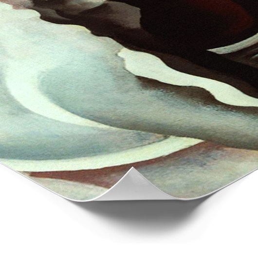 Poster georgia okeeffe (Coin)