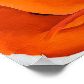 Poster Georgia O'Keeffe - Coquelicot rouge - 1927 (Coin)