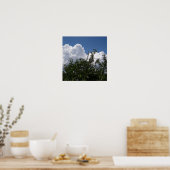 Poster Georgia Peach Tree Fluffy White Nuages (Cuisine)