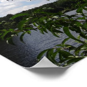 Poster Georgia Peach Tree Fluffy White Nuages (Coin)