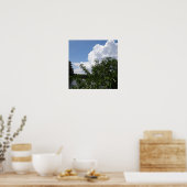 Poster Georgia Peach Tree Fluffy White Nuages (Cuisine)