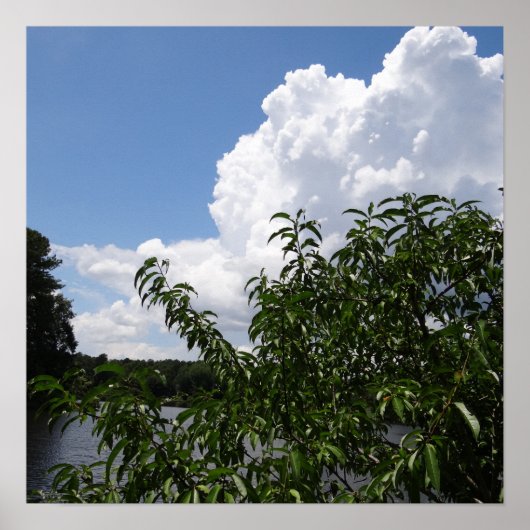Poster Georgia Peach Tree Fluffy White Nuages (Devant)