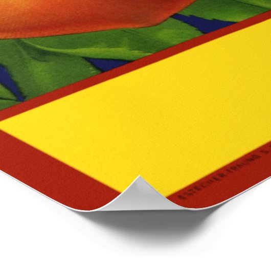 Poster Georgia Peaches (Coin)