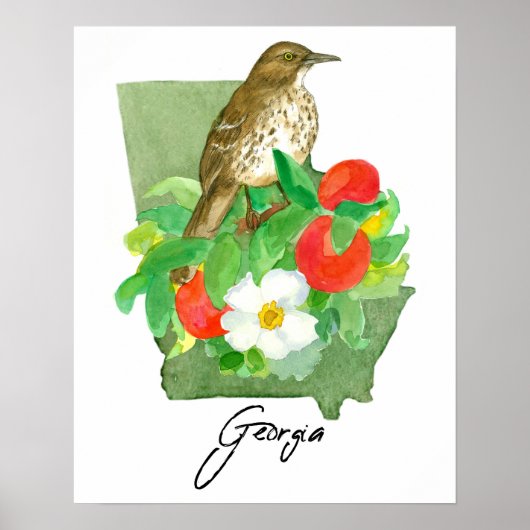Poster Georgia State Shape Bird Brown Thrasher (Devant)