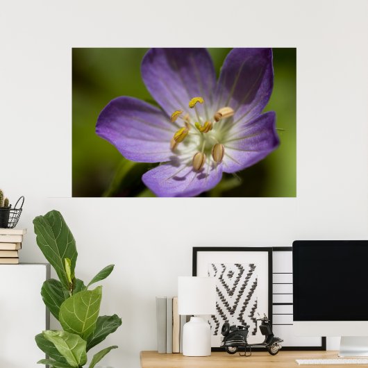 Poster Géranium sauvage (Bureau à domicile)