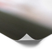 Poster Geraniums (Coin)