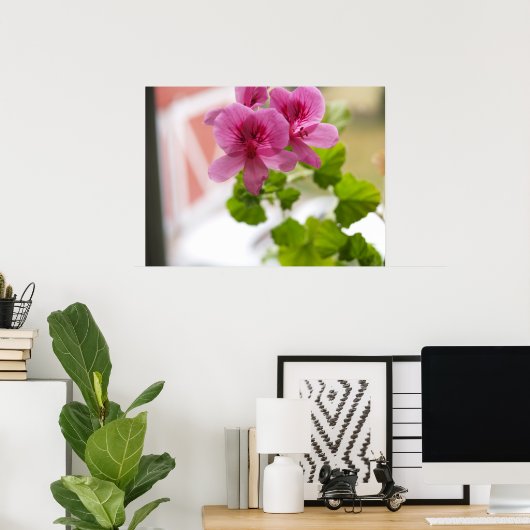 Poster Geraniums (Bureau à domicile)