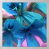 Poster Geraniums bleus (Devant)