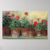 Poster Geraniums dans les pots (Devant)