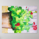 Poster - Geraniums En août (Devant)