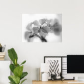Poster Geraniums en noir et blanc (Bureau à domicile)