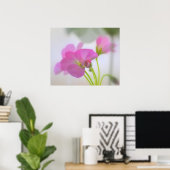 Poster Geraniums roses (Bureau à domicile)