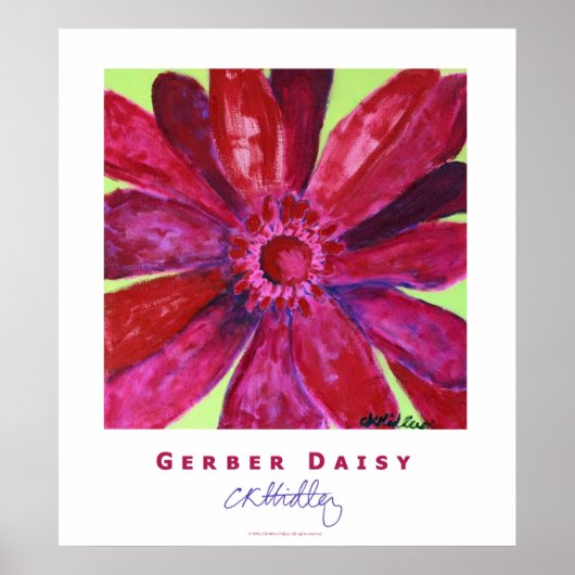 Poster Gerber Daisy (Devant)