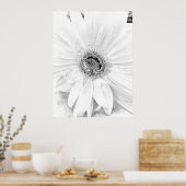 Poster Gerber Daisy Upclose (Cuisine)