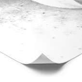 Poster Gerber Daisy Upclose (Coin)