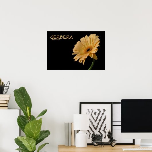Poster Gerbera (Bureau à domicile)