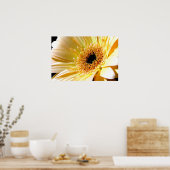 Poster Gerbera (Cuisine)