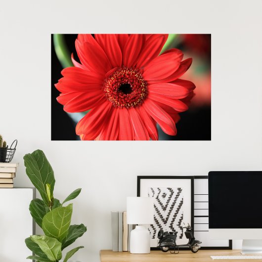 Poster Gerbera (Bureau à domicile)