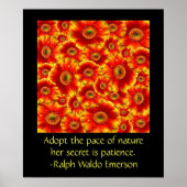 Poster Gerbera Daisies avec devis (Devant)