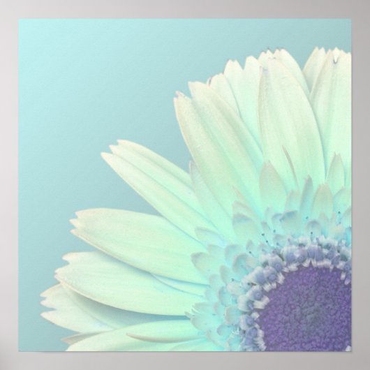 Poster Gerbera Daisy (Devant)