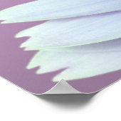 Poster Gerbera Daisy (Coin)