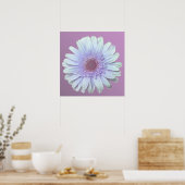 Poster Gerbera Daisy (Cuisine)