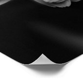 Poster Gerbera Daisy (Coin)