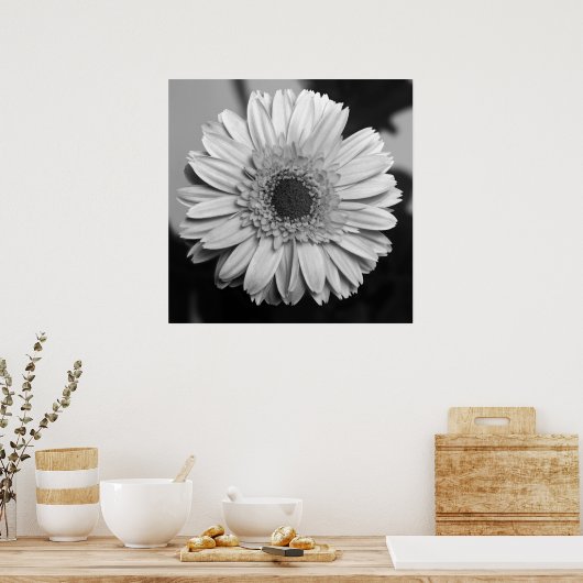 Poster Gerbera Daisy (Cuisine)