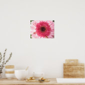 Poster Gerbera Daisy (Cuisine)