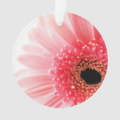 Poster Gerbera Daisy (devant)