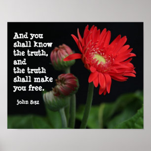 Poster Gerbera Daisy avec Verse des Écritures (john 8:32)