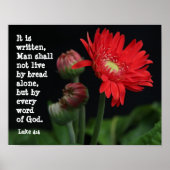 Poster Gerbera Daisy avec Verse des Écritures (Luc 4:4) (Devant)