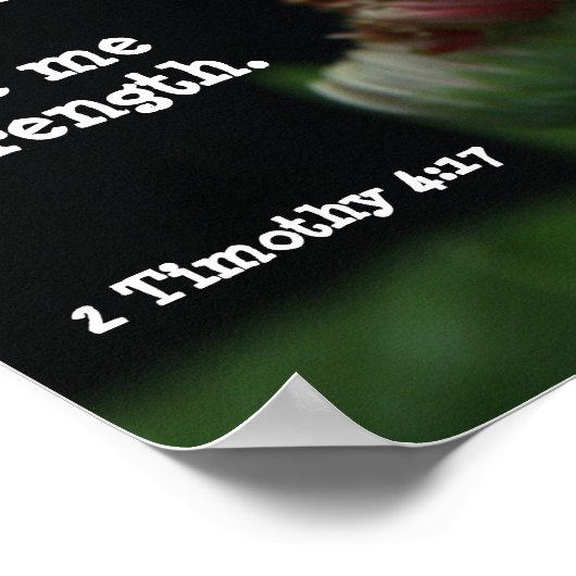 Poster Gerbera Daisy avec Verse des Écritures (Timothée 4 (Coin)