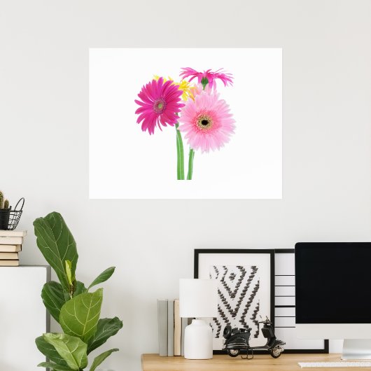 Poster Gerbera Daisy Flowers (Bureau à domicile)