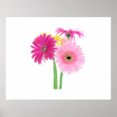 Poster Gerbera Daisy Flowers (Devant)
