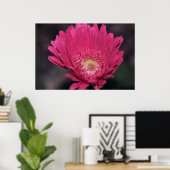 Poster Gerbera en fleurs sur toile (Bureau à domicile)