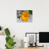 Poster Gerbera jaune Fleur sauvage de marguerite (Bureau à domicile)